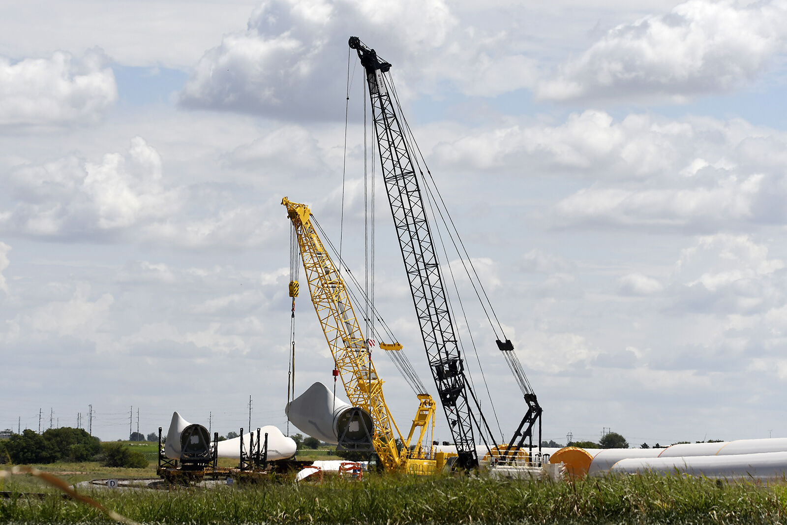 220605-news-tif 4.jpg